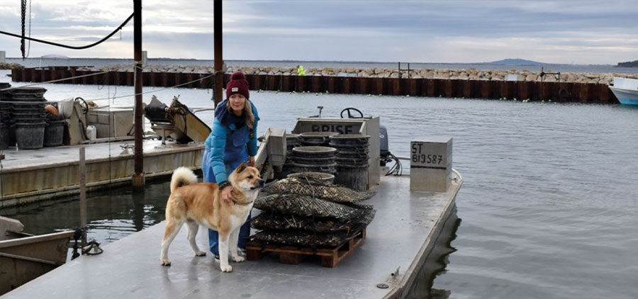 Quentin et Emmeline, produire moins mais mieux. Photo de l'article de presse midi libre