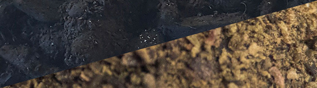 terralba article blog culture biologique biochar Kelp