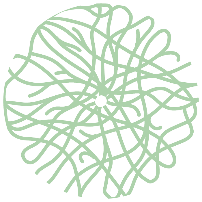 schéma de développement racinaire pot géotextile