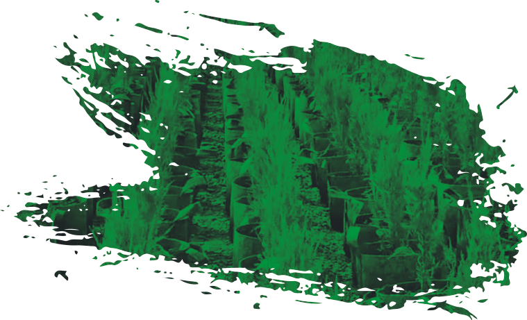 pot géotextile utilisation agriculture et abroculture