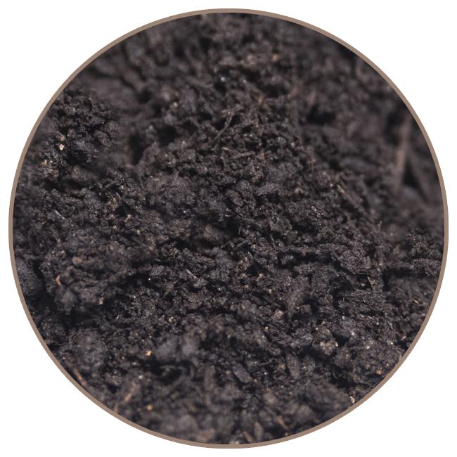 Texture terre noire végétale noire alluviale et compost équin