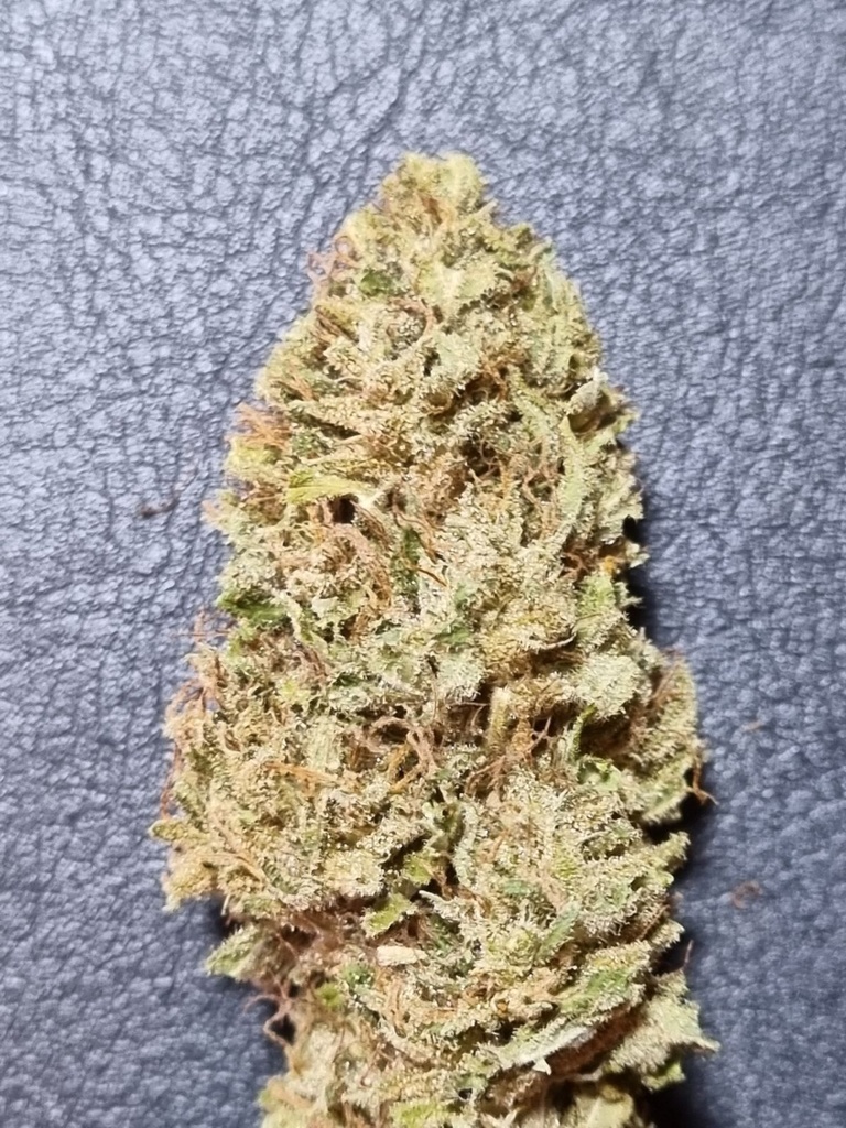 FLEURS CéBéDé AB sol vivant Indica A6 2024 EXT