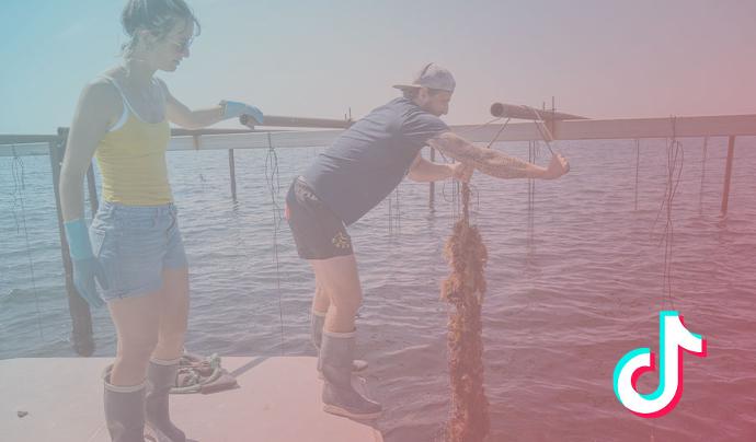 Quentin et Emmeline Photo Tik Tok Producteur de coquillages