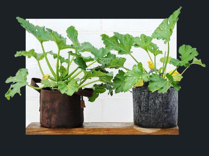 Terralba Pot Géotextile