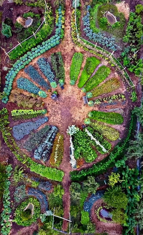 Potager en culture bio sol vivant par Terralba