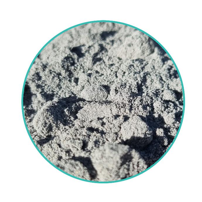 texture du guano de chauve souris