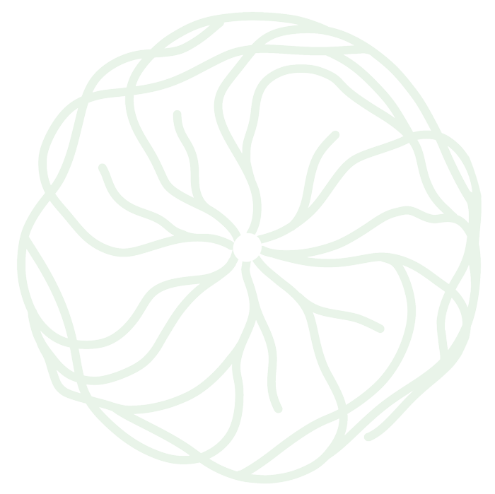 schéma de développement racinaire pot classique