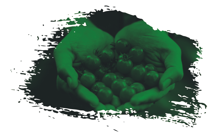 pot géotextile utilisation jardin